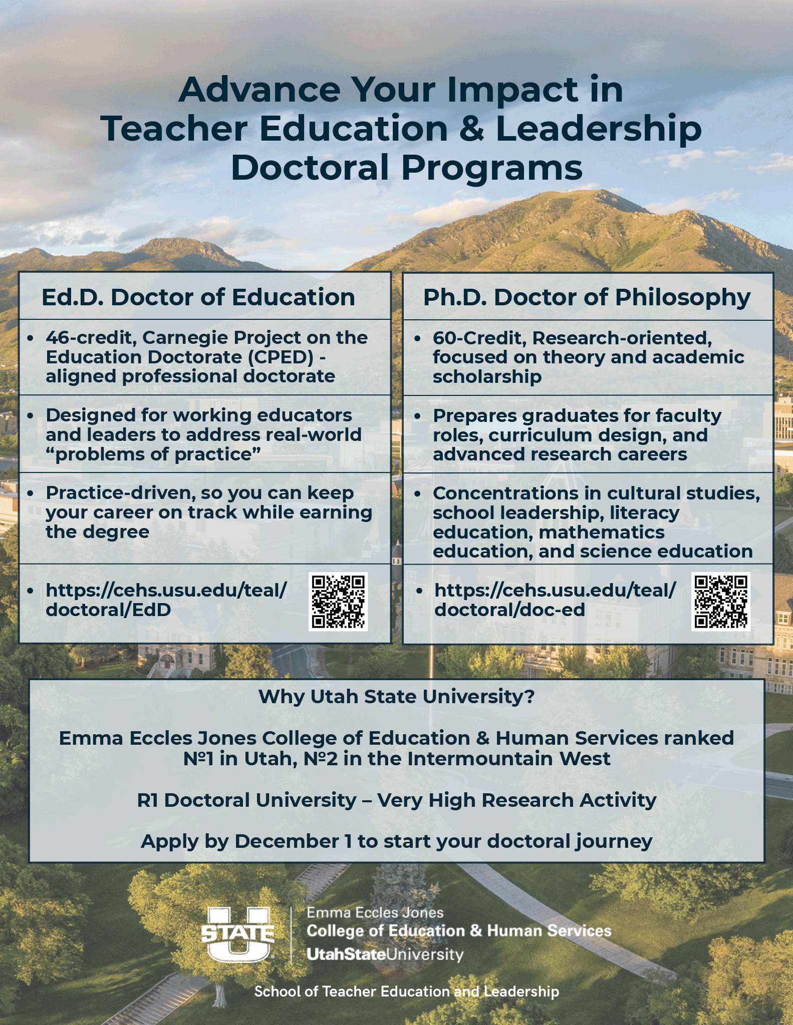 Educator Advancement Opportunity Flyer