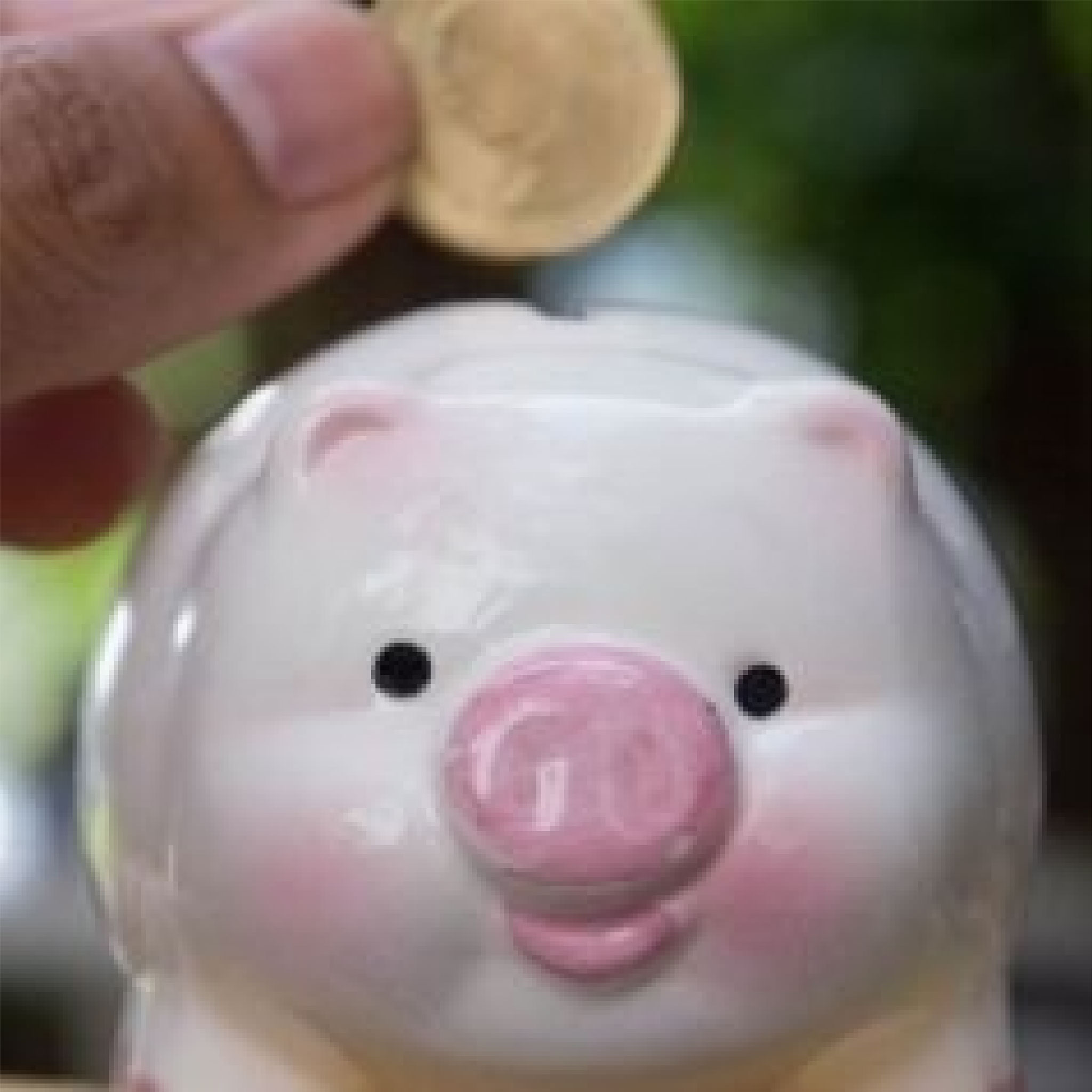Person inserts coin in piggy bank